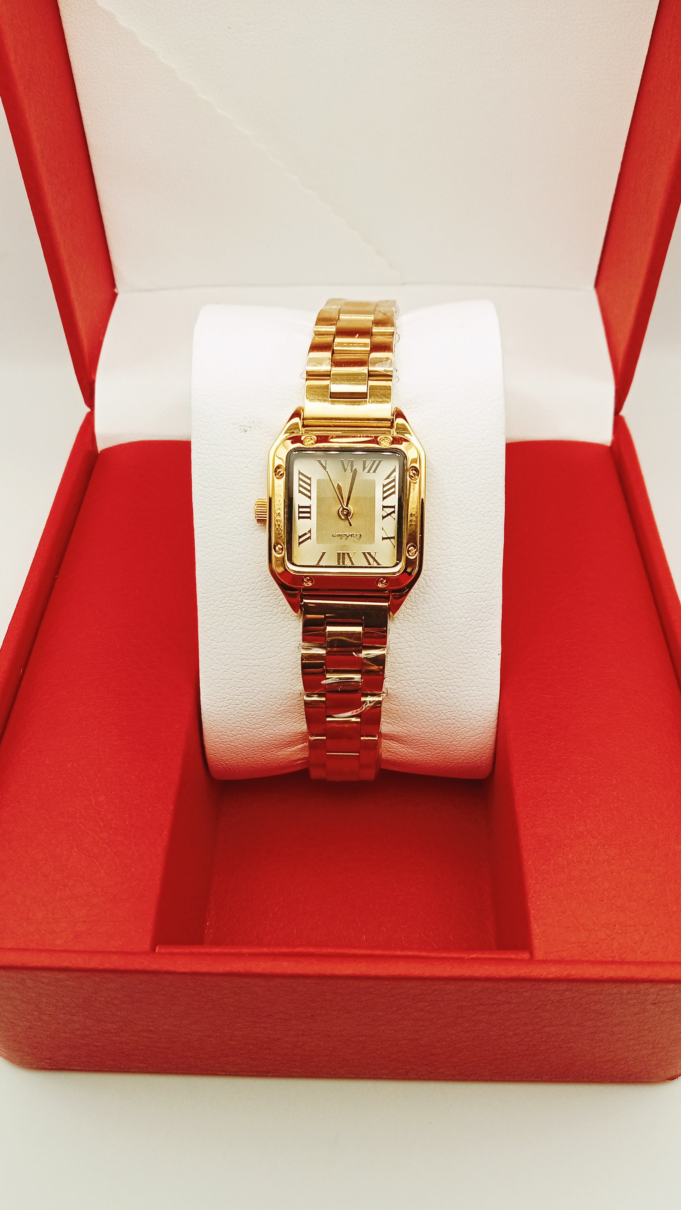Montre Dalia